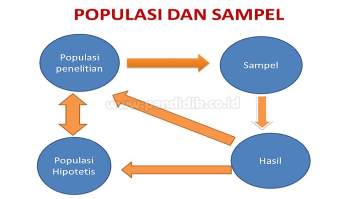 Pengertian Populasi & Sampel, Ciri Serta Jenisnya (Lengkap)