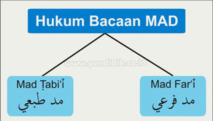 15 Hukum Bacaan Mad & Contohnya (Pembahasan Lengkap)