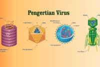 Pengertian Virus.jpg