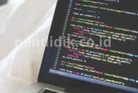 Pengertian Coding, Manfaat, Tujuan & Contohnya