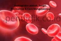 hemoglobin adalah