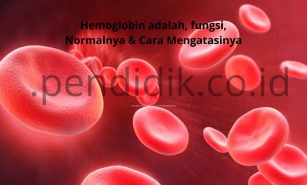hemoglobin adalah